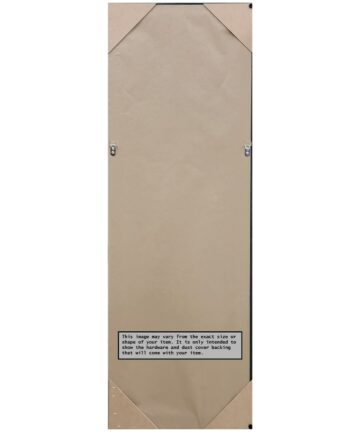 Non-Beveled Wood Full Length On The Door Mirror 49.5 x 15.5 in. - Svelte Frame - Svelte Silver - 15 x 49 in-15 x 49 in - Svelte Silver